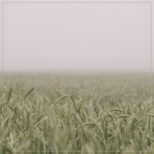 工本口子库免费漫画版下拉式
